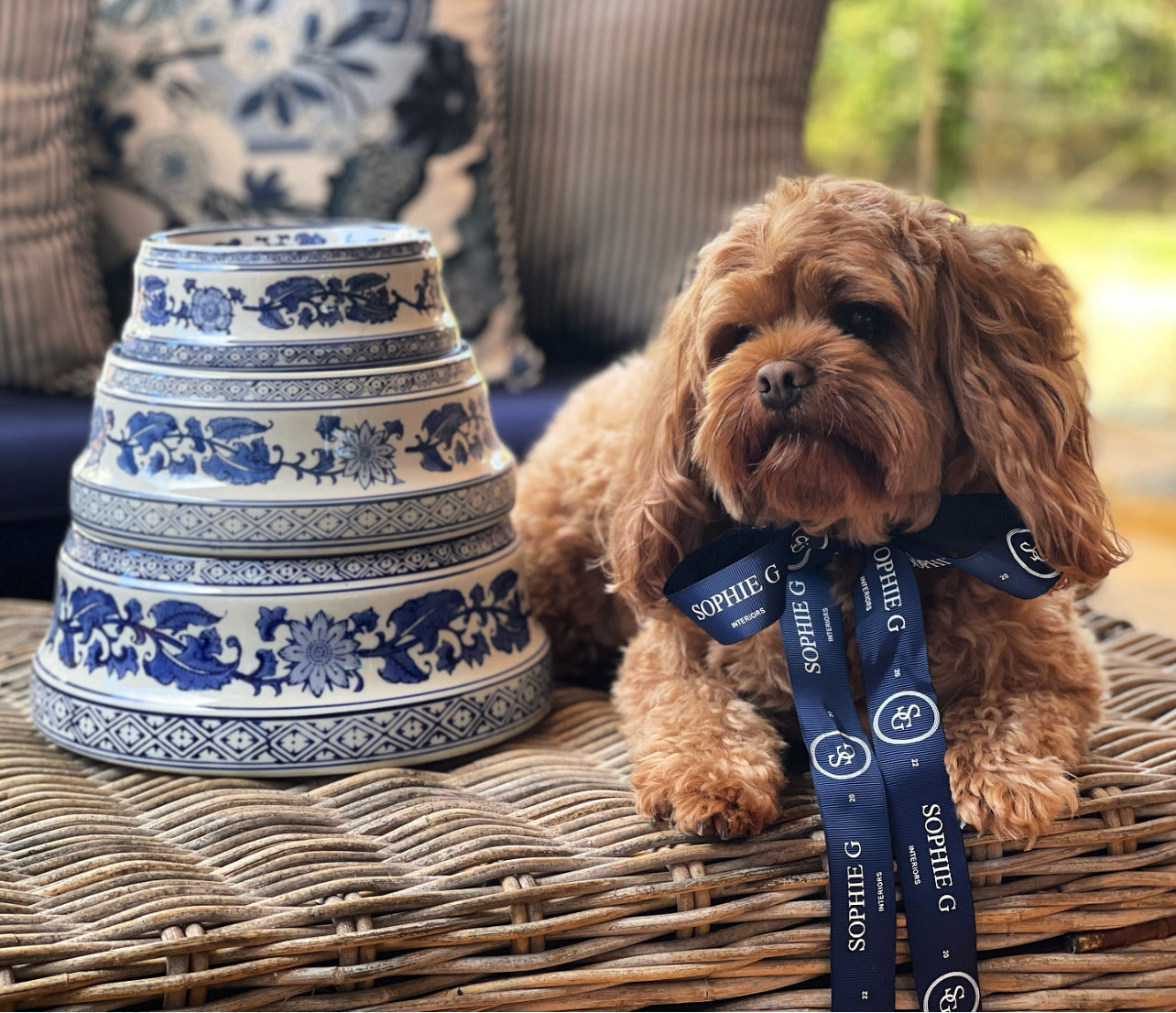 BLUE & WHITE CHINOISERIE PET BOWL