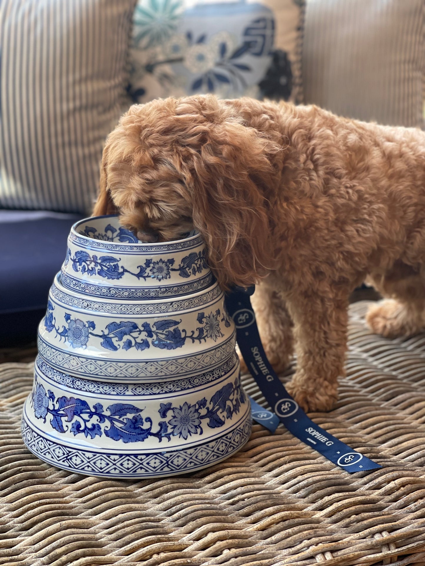 BLUE & WHITE CHINOISERIE PET BOWL